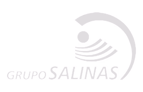 Grupo Salinas